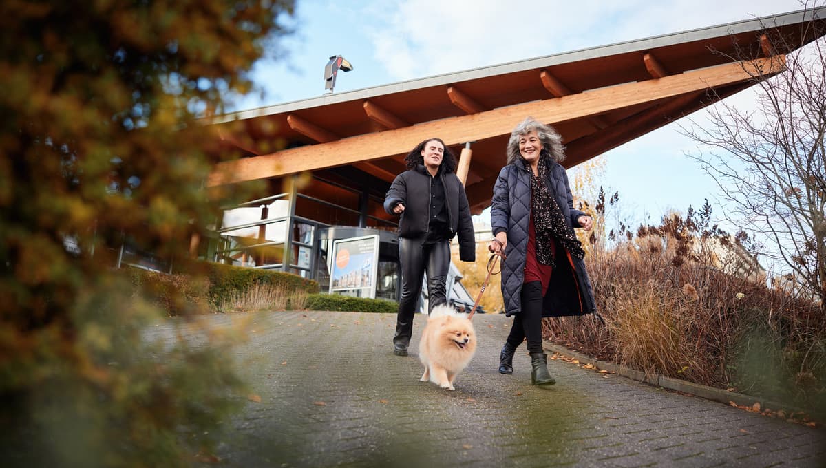 image of hotel drachten