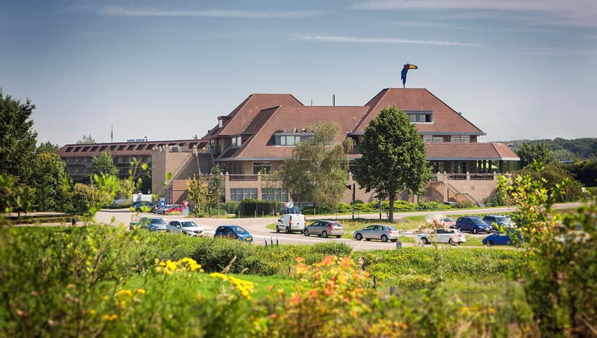 Stein-Urmond background